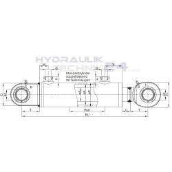 Hydraulikzylinder doppelwirkend 25/16 (25/16-050 mm)