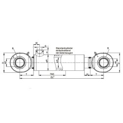 Plungerzylinder Hydraulikzylinder einfachwirkend &oslash; 20 mm mit Gelenkaugen 050 - 1000 mm Hub